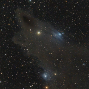 An example of a dark nebula - the dark shark nebula
